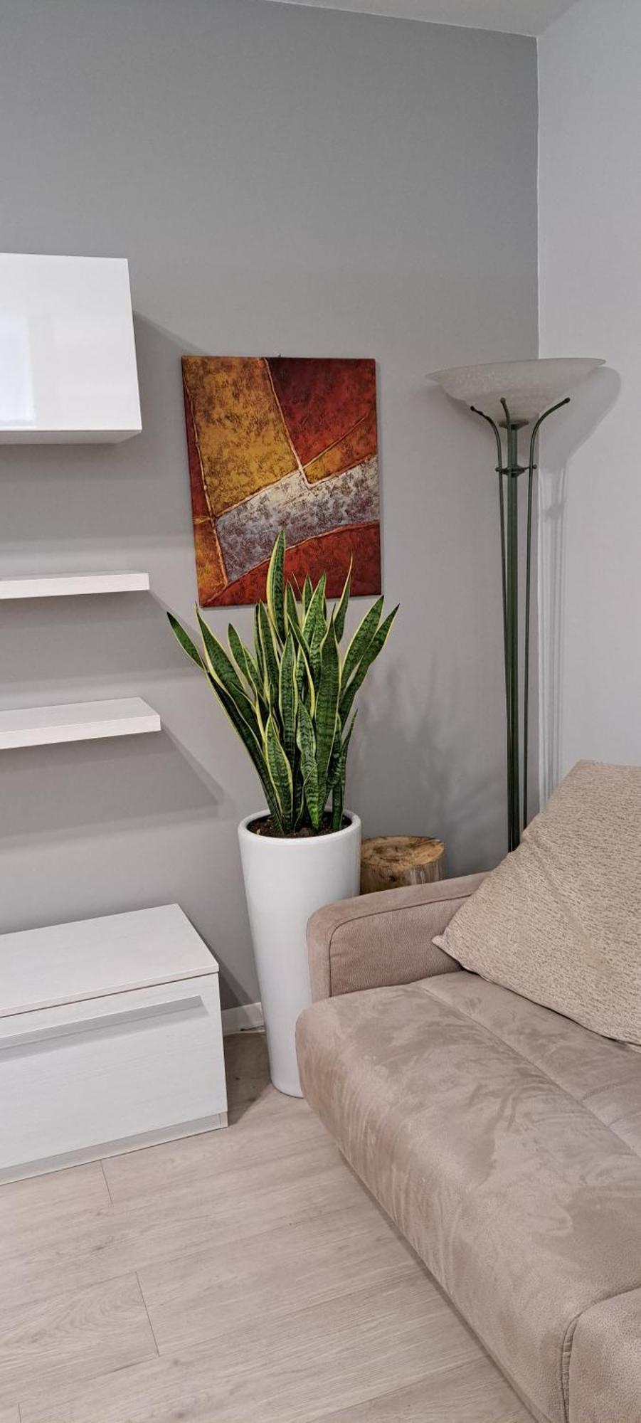Marco Venice Apartment 외부 사진